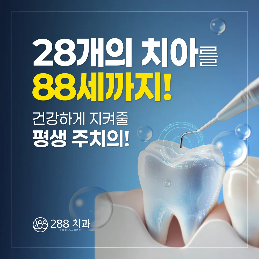 28개의 치아를 88세까지! 건강하게 지켜줄 평생 주치의 — 288치과